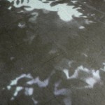 http://cpanel.lightizm.com/files/gimgs/th-76_71_Nostalgia1_v2.jpg