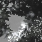 http://cpanel.lightizm.com/files/gimgs/th-76_71_Nostalgia2_v2.jpg